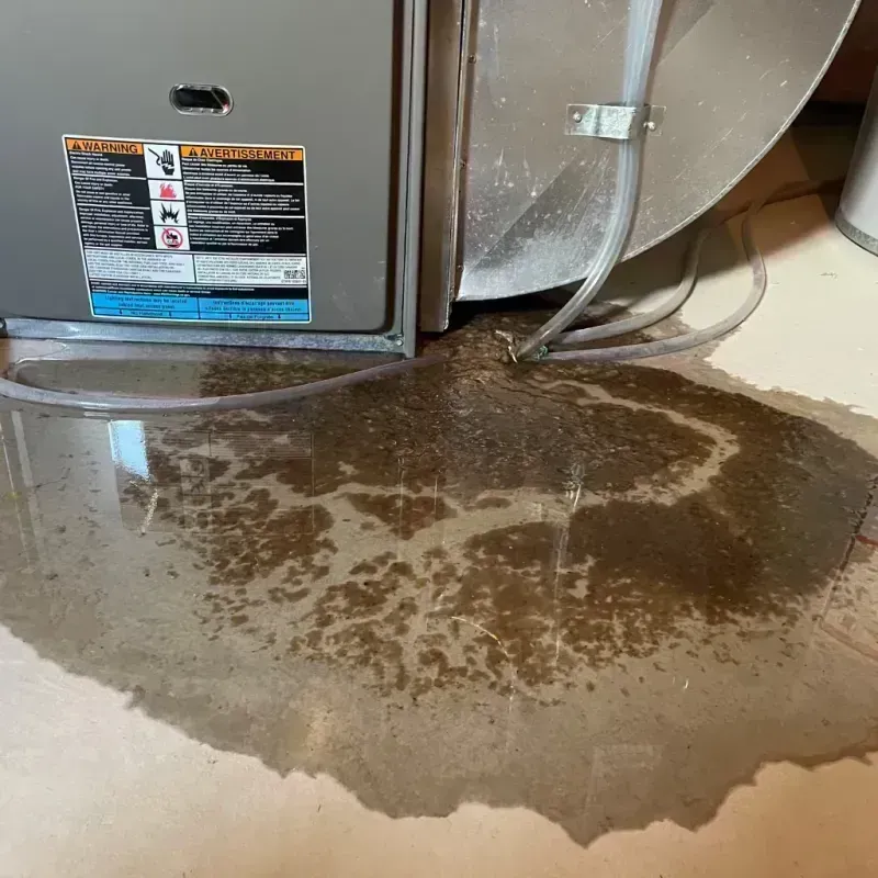 Appliance Leak Cleanup in Beckemeyer, IL